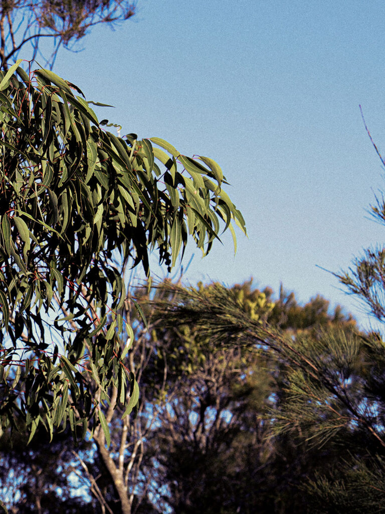 Integrative Medicine Doctor, Integrative Medicine Practitioners Melbourne