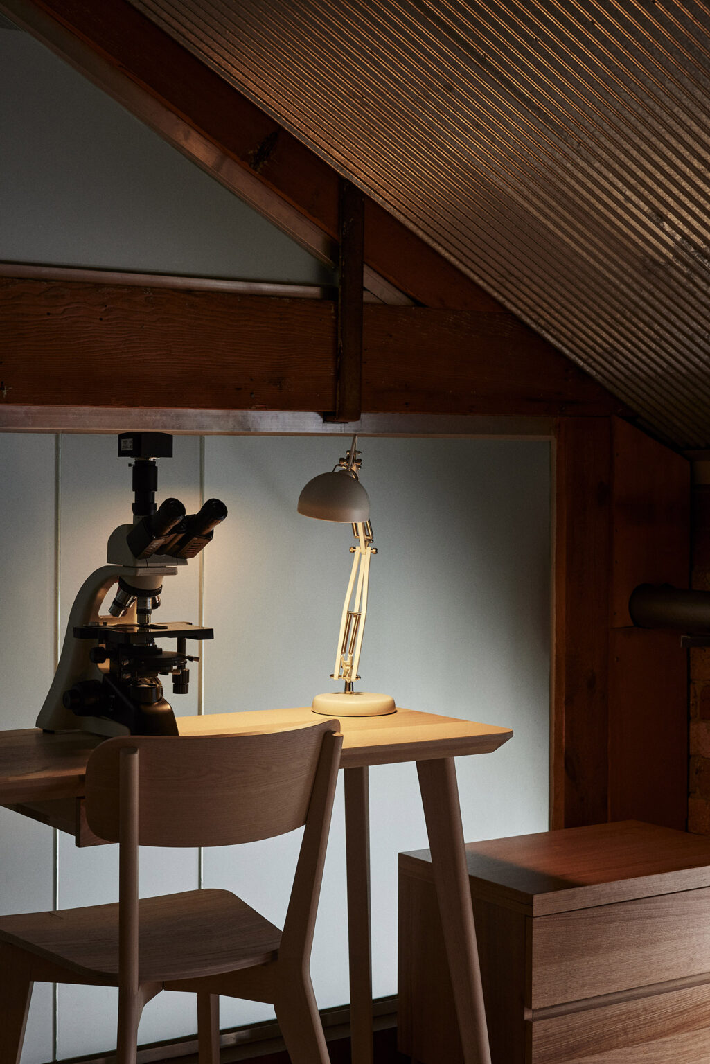 Integrative Medicine Doctor, Integrative Medicine Practitioners Melbourne